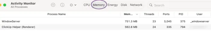 The Mac Activity Monitor Memory tab