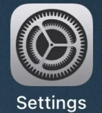 The iPad Settings app